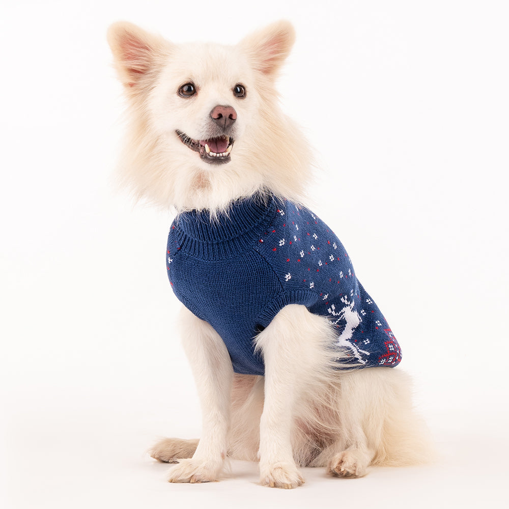 HUFT Winter Wonder Sweater - Blue - Heads Up For Tails