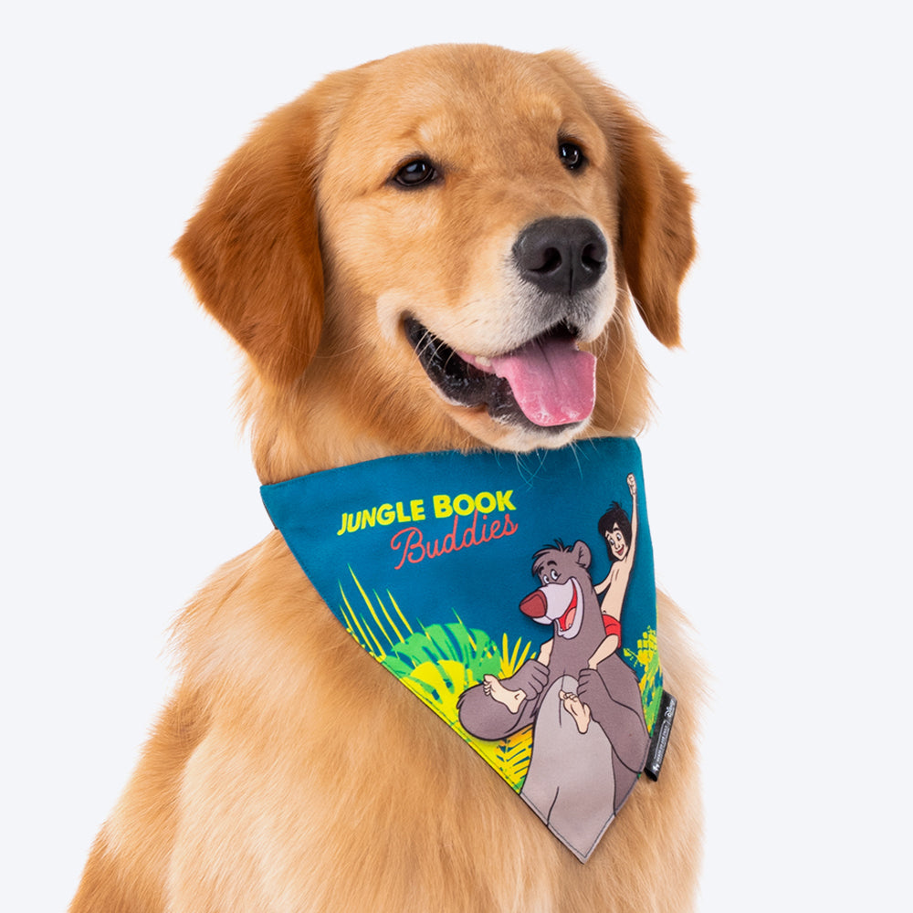HUFT XÂ©Disney 2.0 Jungle Book Dog Bandana_02