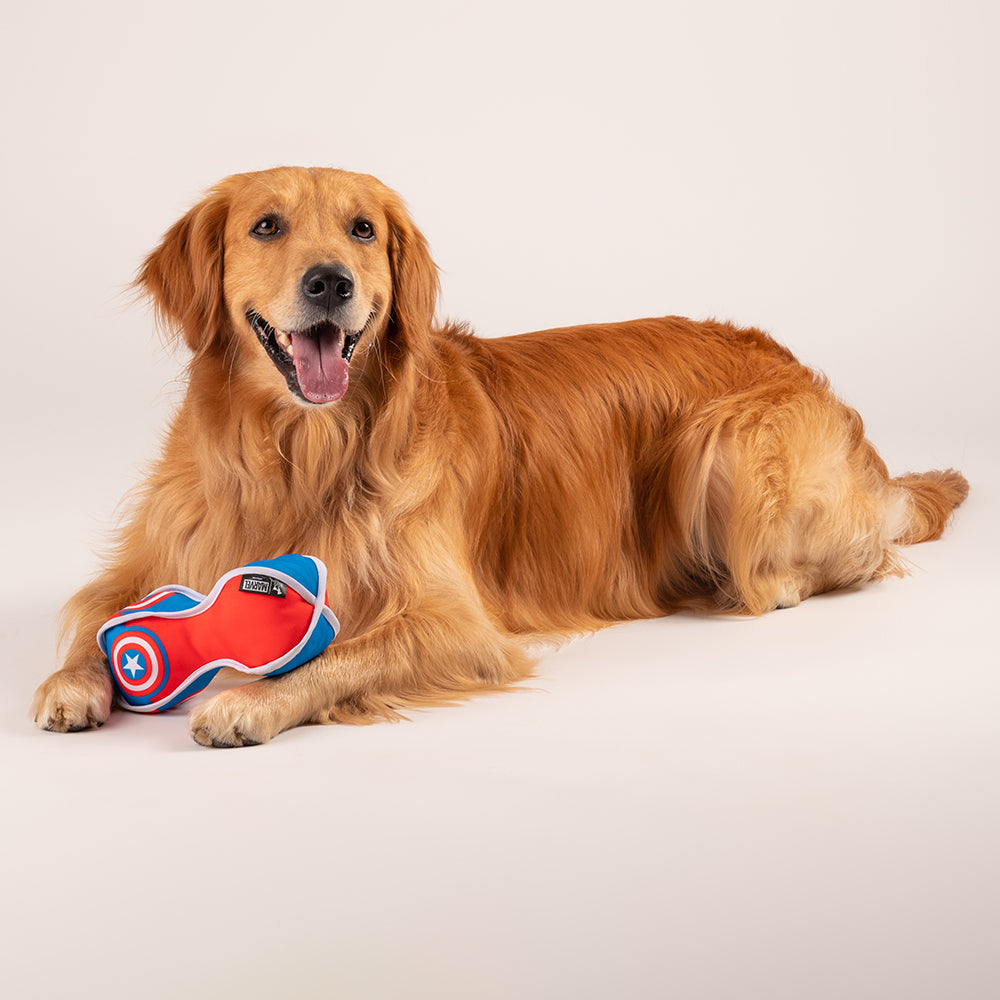 HUFT Marvel Captain America Fetch Dog Toy - Heads Up For Tails
