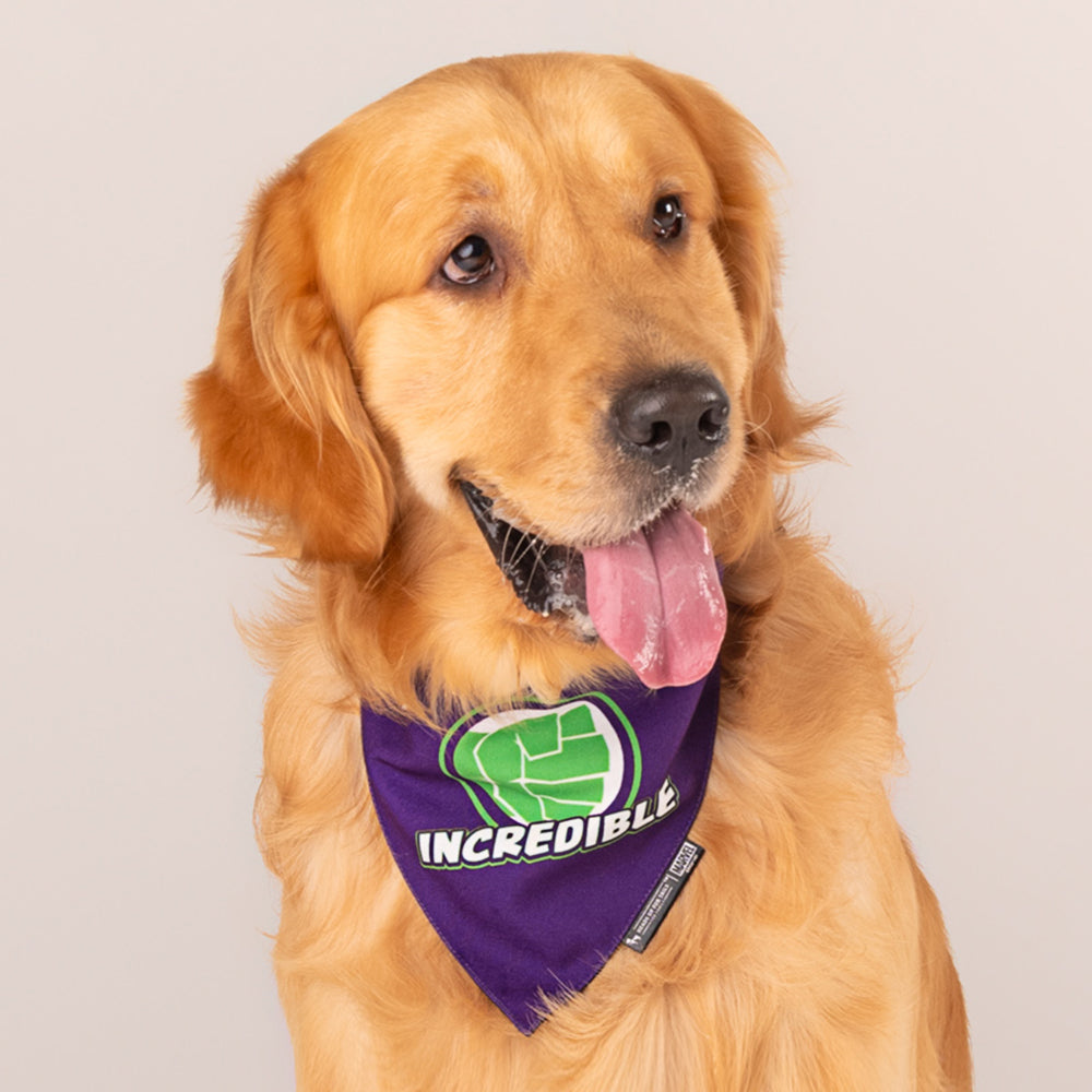 HUFT Marvel Hulk Dog Bandana - Heads Up For Tails