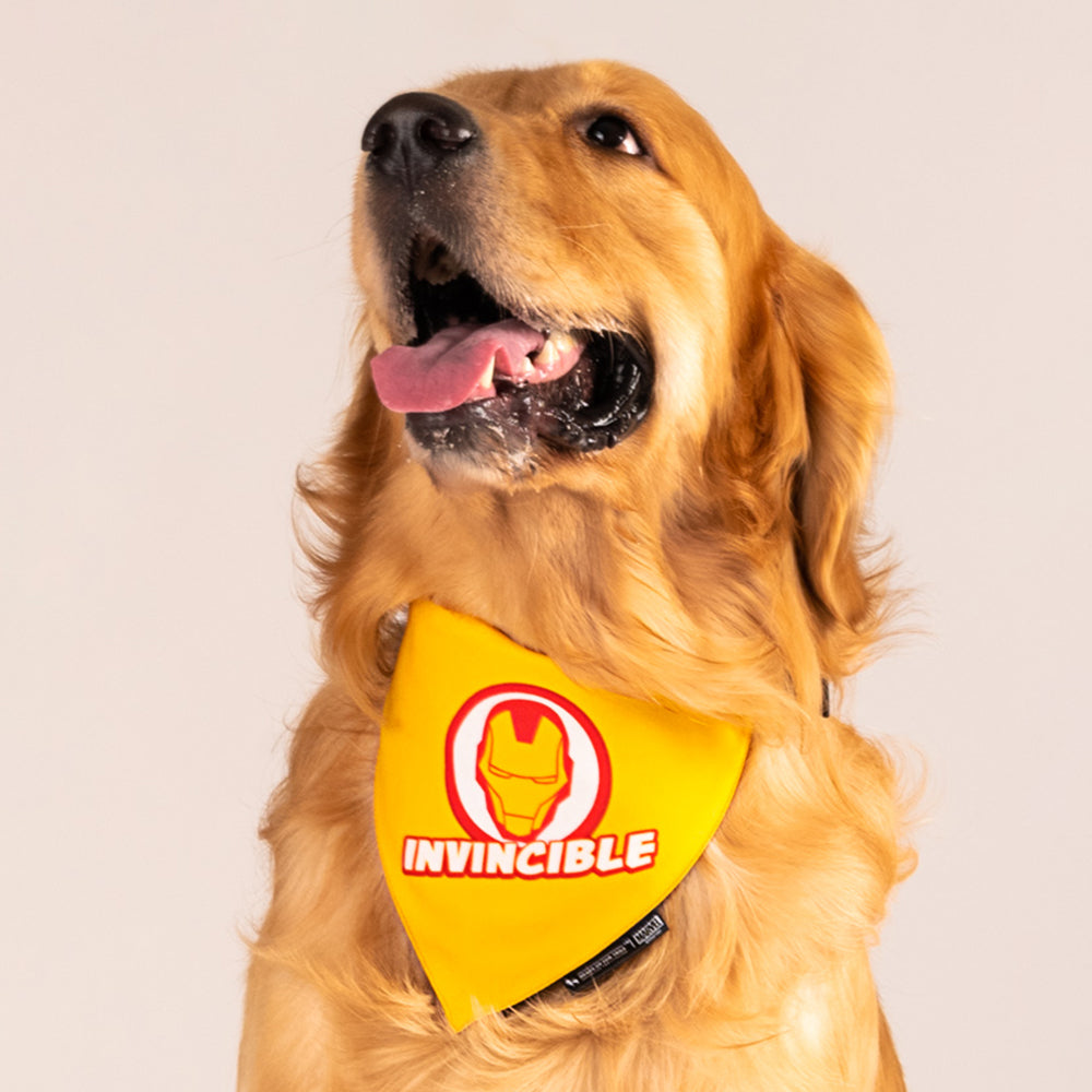 HUFT Marvel Iron Man Dog Bandana - Heads Up For Tails