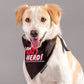 HUFT Marvel Avengers Dog Bandana - Heads Up For Tails