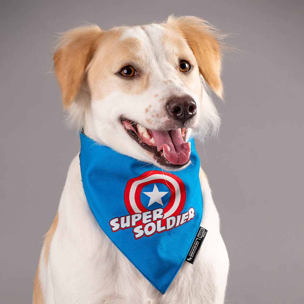 HUFT Marvel Captain America Dog Bandana - Heads Up For Tails