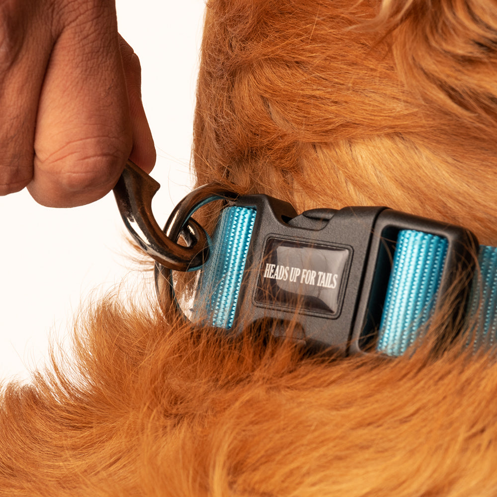HUFT Essentials Nylon Dog Leash - Aqua Blue - Heads Up For Tails