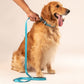 HUFT Essentials Nylon Dog Leash - Aqua Blue - Heads Up For Tails