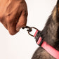 HUFT Essentials Nylon Dog Collar - Dark Pink - Heads Up For Tails