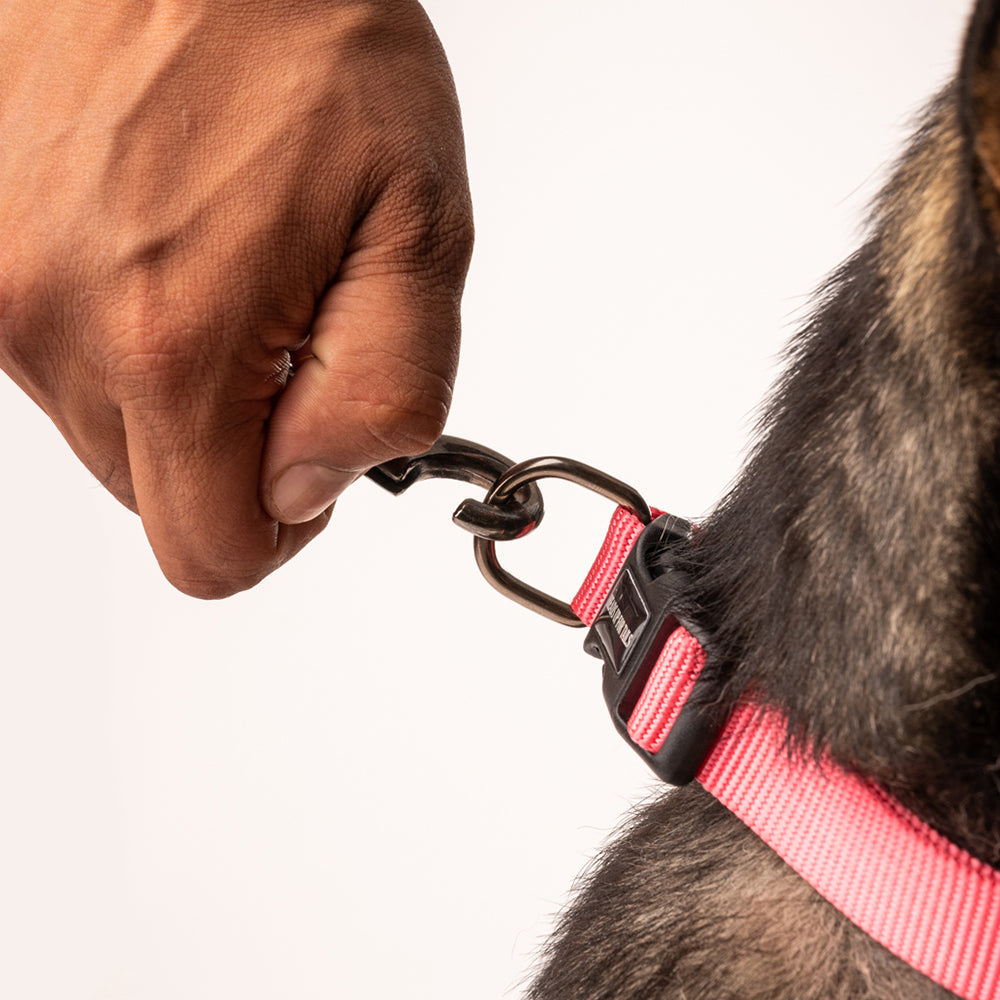 HUFT Essentials Nylon Dog Collar - Dark Pink - Heads Up For Tails