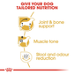 Royal Canin Dachshund Adult Dog Food - Heads Up For Tails