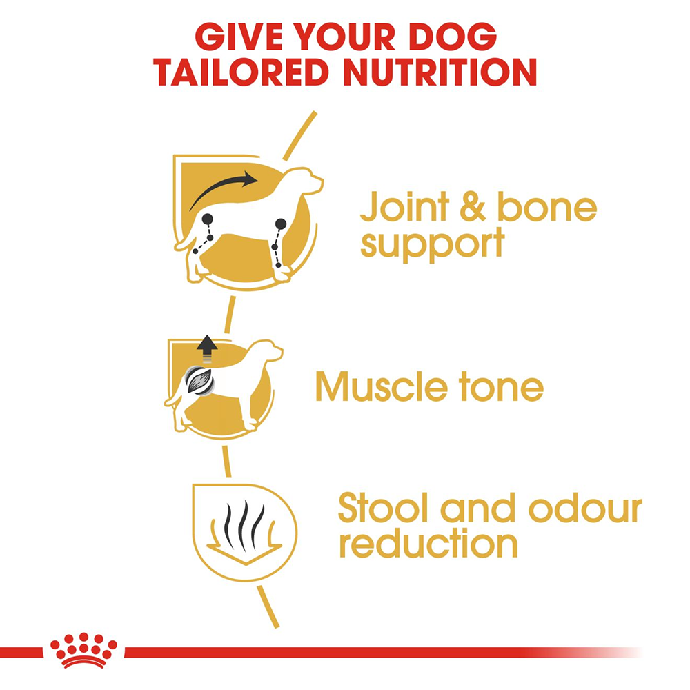 Royal Canin Dachshund Adult Dog Food - Heads Up For Tails