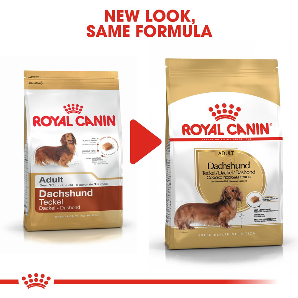 Royal Canin Dachshund Adult Dog Food - Heads Up For Tails