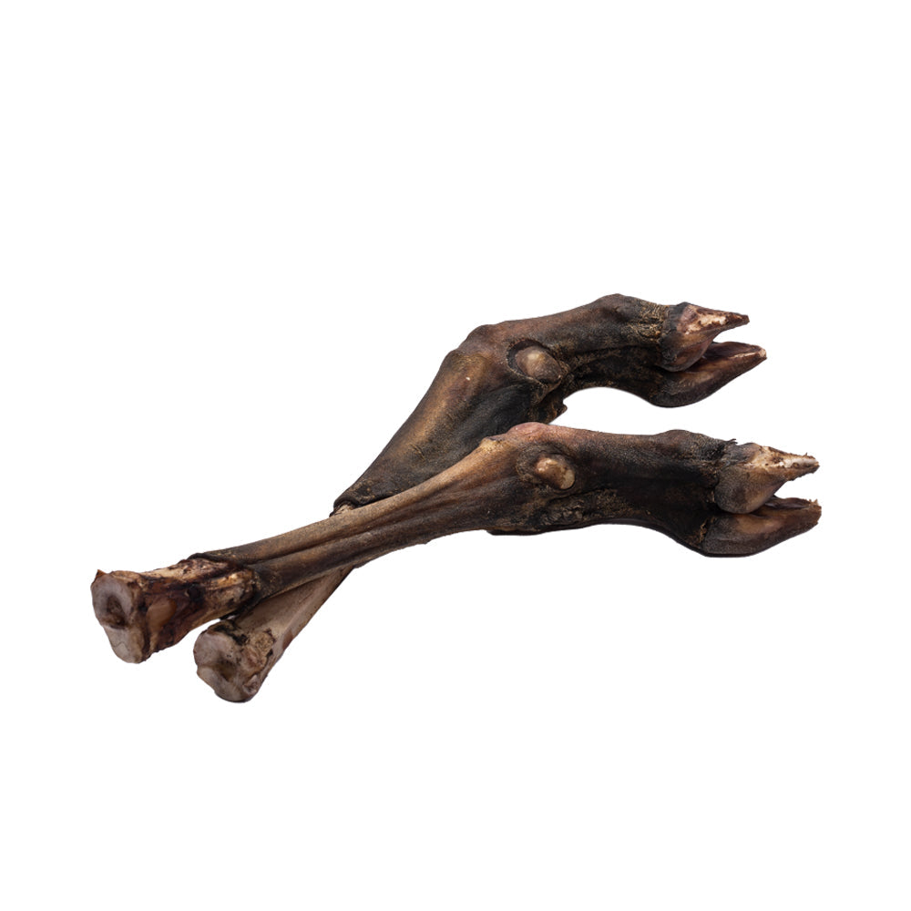 Canine Craving Dehydrated Lamb Trotter Chew for Dogs