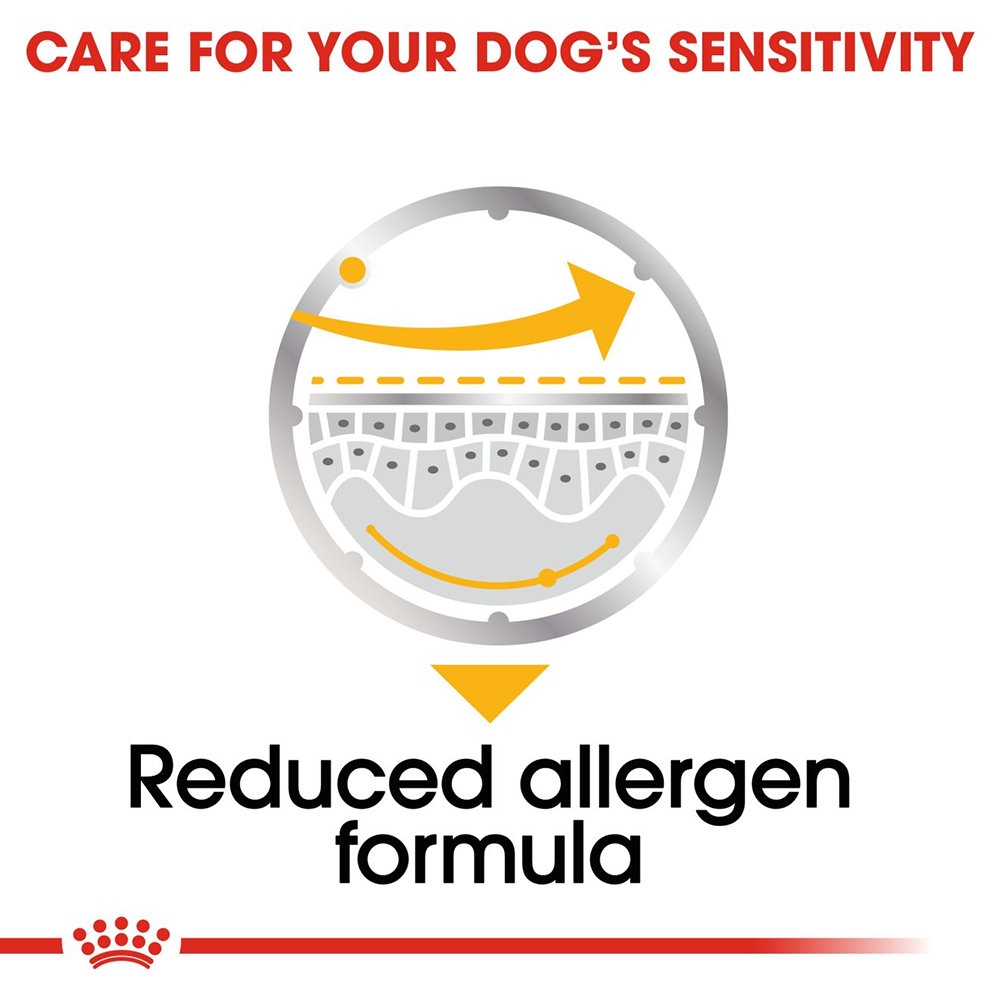 Royal Canin Derma Comfort Wet Dog Food (All Sizes) - 85 g - Heads Up For Tails