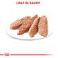 Royal Canin Digestive Care All Size Wet Dog Food - 85 g - Heads Up For Tails