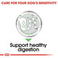Royal Canin Digestive Care All Size Wet Dog Food - 85 g - Heads Up For Tails