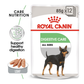 Royal Canin Digestive Care All Size Wet Dog Food - 85 g - Heads Up For Tails