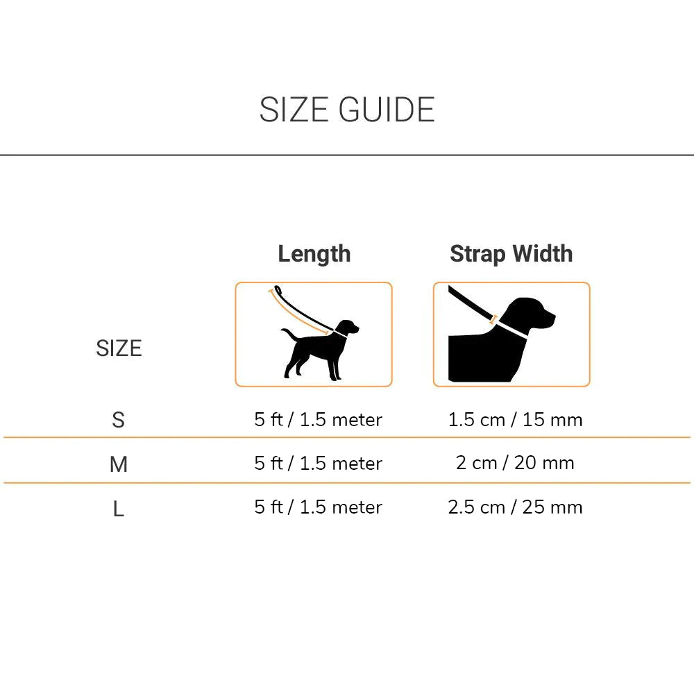 HUFT Essentials Nylon Dog Leash - Aqua Blue - Heads Up For Tails