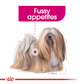 Royal Canin Exigent Wet Dog Food (All Sizes) - 85 g - Heads Up For Tails