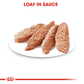 Royal Canin Exigent Wet Dog Food (All Sizes) - 85 g - Heads Up For Tails