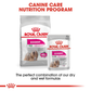 Royal Canin Exigent Wet Dog Food (All Sizes) - 85 g - Heads Up For Tails