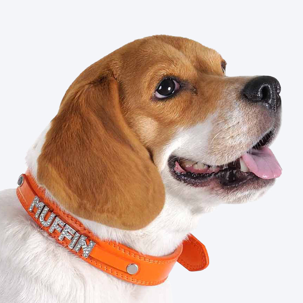 HUFT Personalised Dog Collar - Orange - Upto 7 Letters - Heads Up For Tails