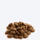 Fish4Dogs Finest Salmon Adult Dry Dog Food - Heads Up For Tails
