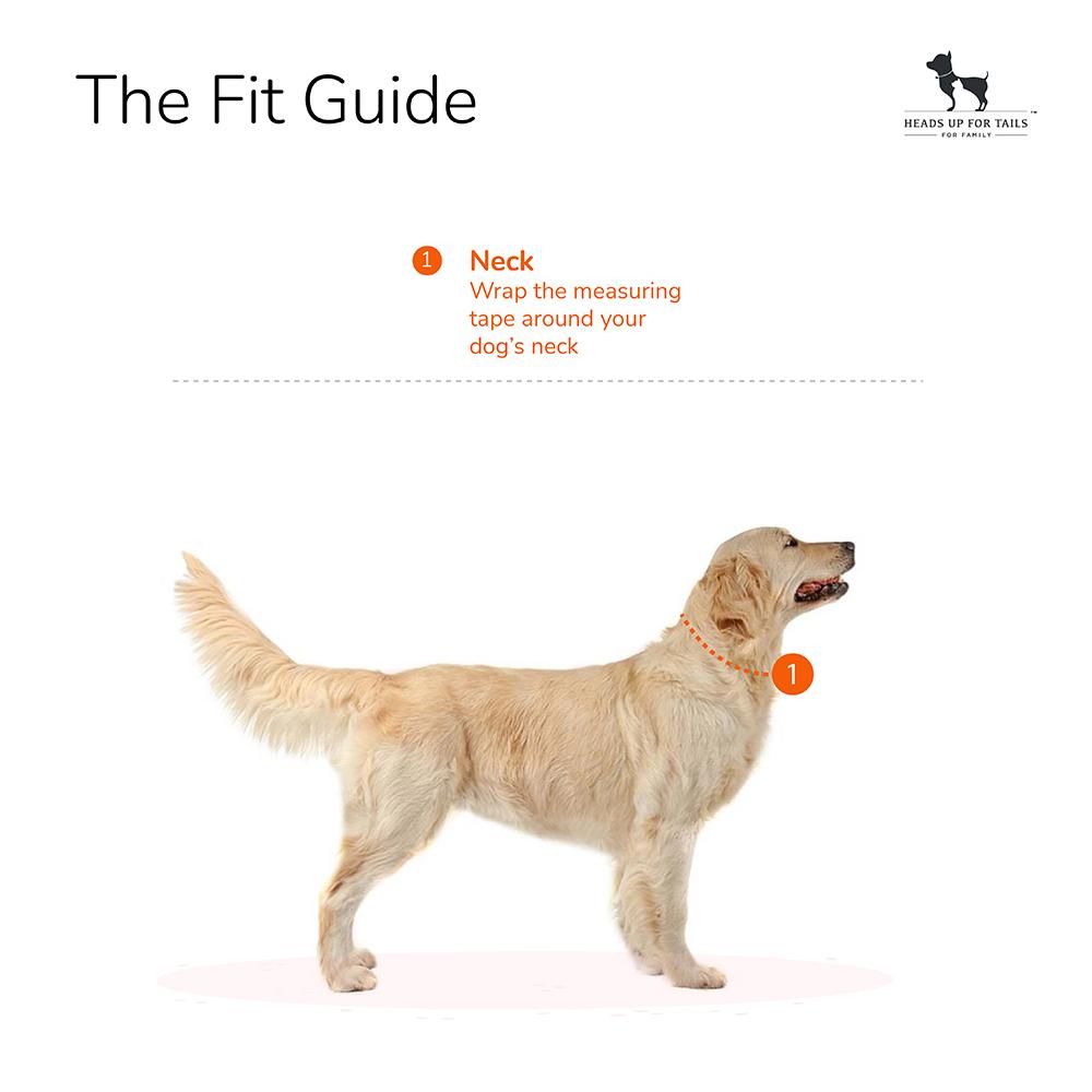 HUFT Classic Nylon Dog Collar - Orange (Can be Personalised)3