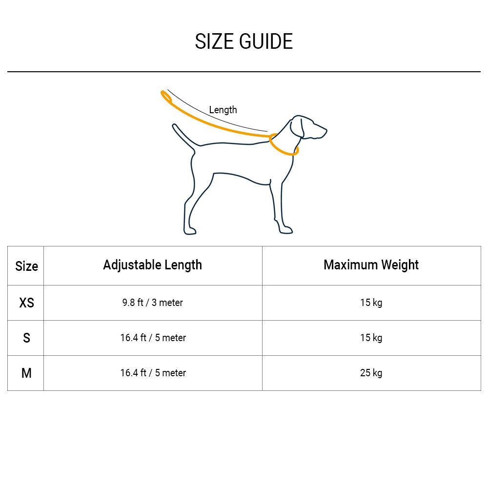 Flexi New Classic Retractable Dog Leash Tape 5m (Black ) - Heads Up For Tails