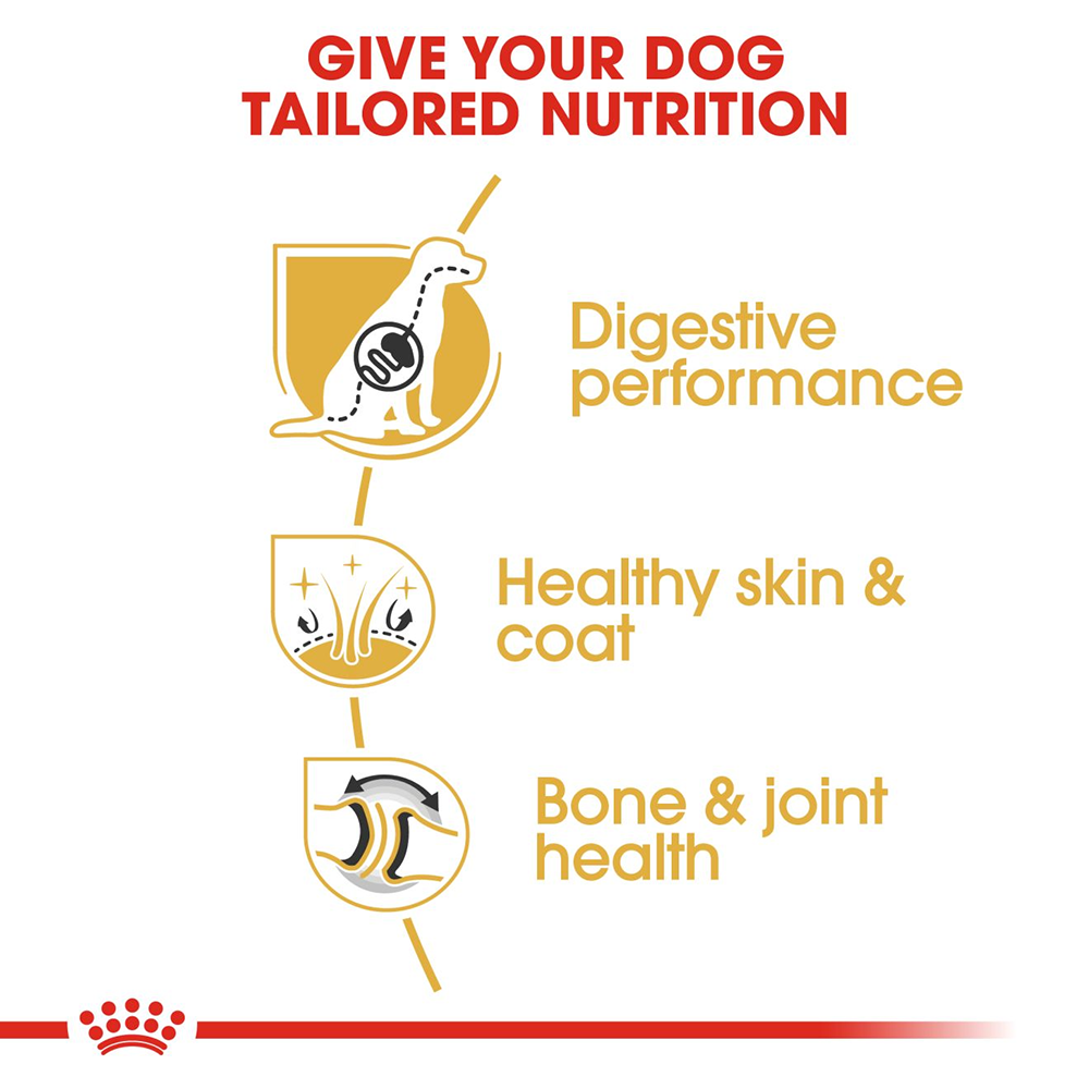 Royal Canin German Shepherd Adult Dry Dog Food - Heads Up For Tails