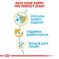 Royal Canin German Shepherd Junior Dry Puppy Food - Heads Up For Tails