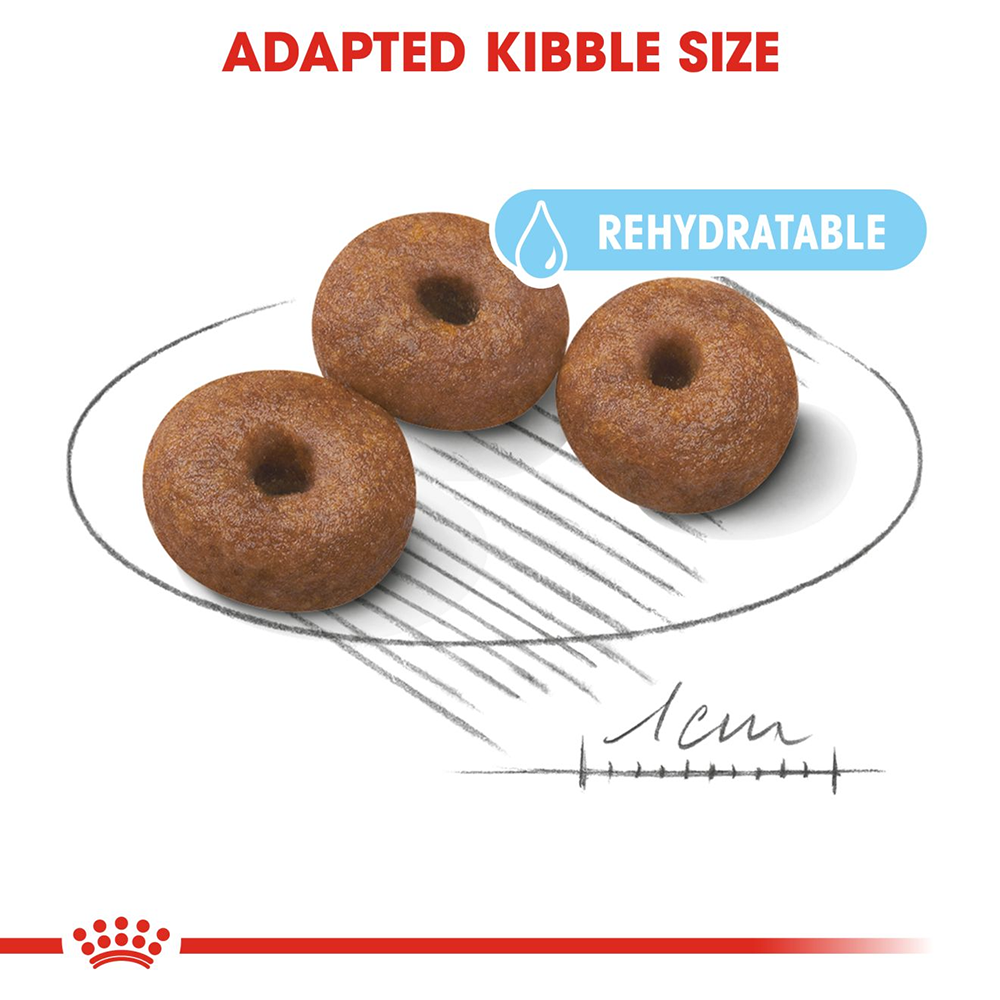 Royal Canin Giant Breed Starter Puppy Food - Heads Up For Tails