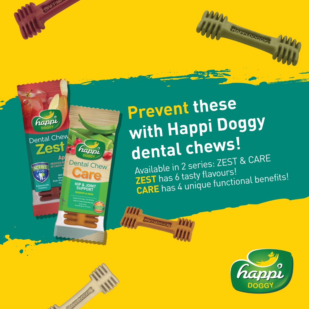 Happi Doggy Zest Dental Chew Dog Treats - Pack of 4-6