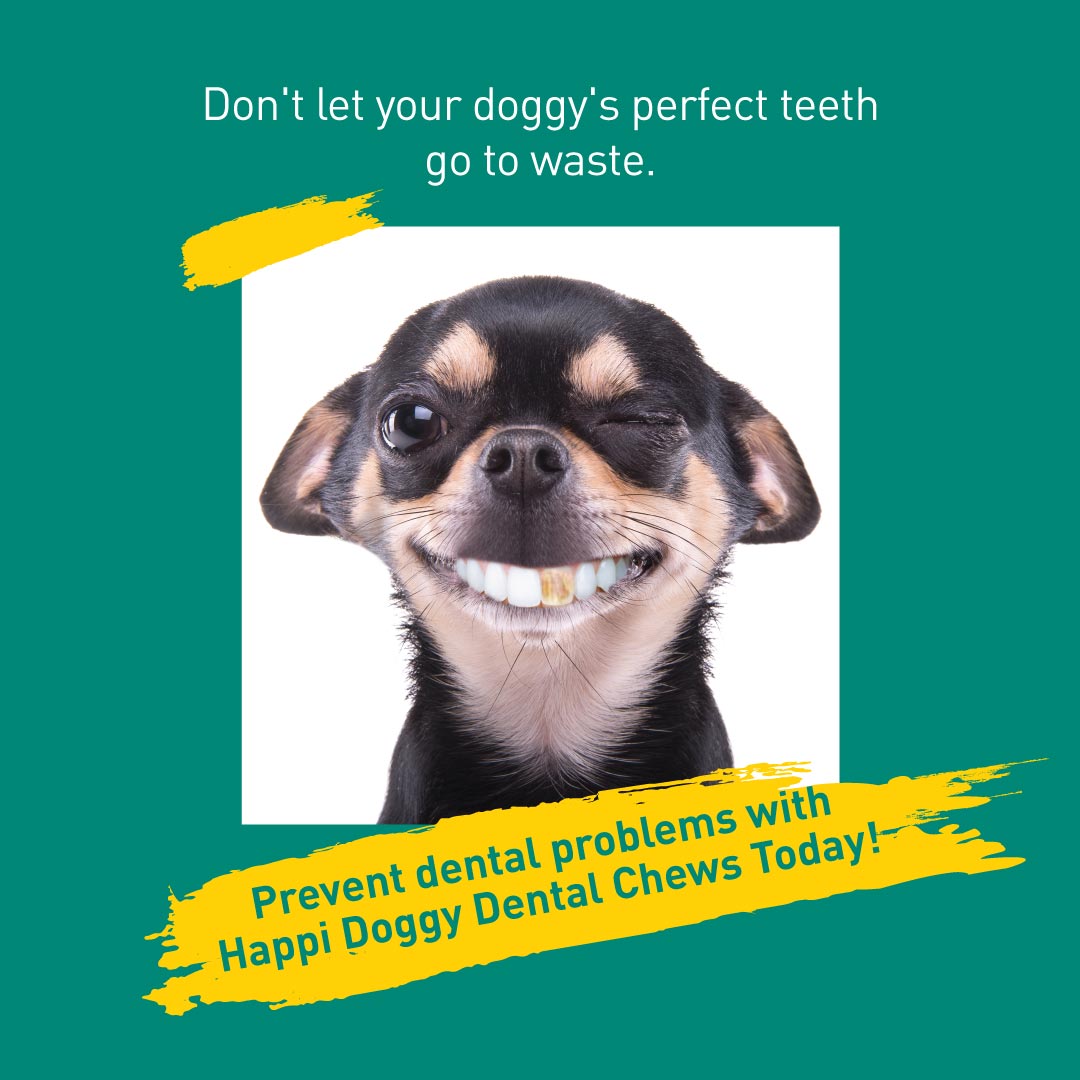 Happi Doggy Singles Dental Chew Dog Treat - Pack of 4-7