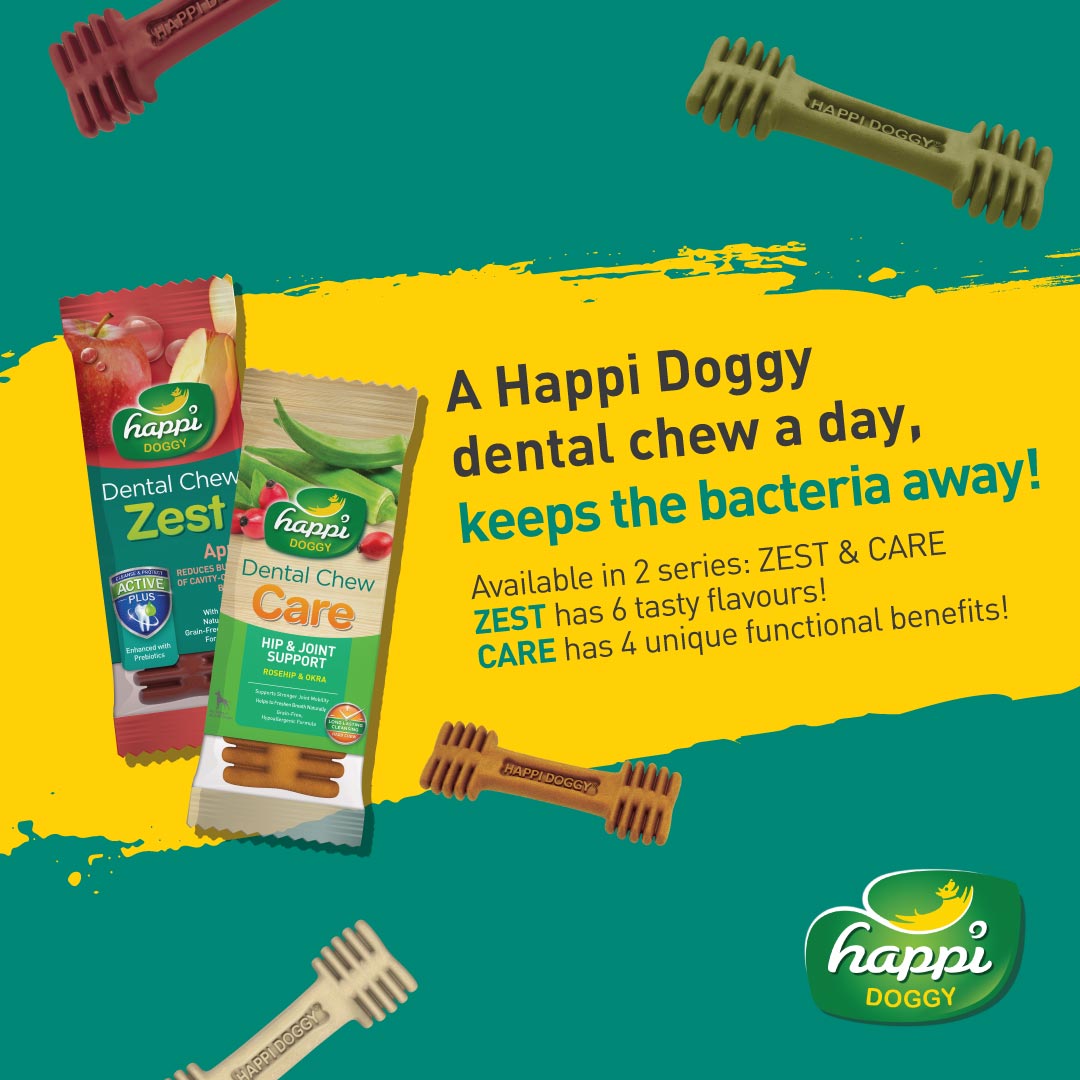 Happi Doggy Singles Combo (Pack of 6)-14