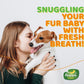 Happi Doggy Singles Combo (Pack of 6)-13
