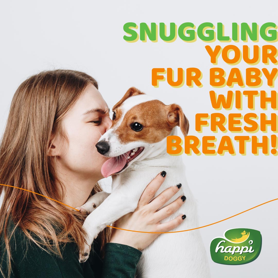Happi Doggy Singles Combo (Pack of 6)-13