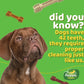 Happi Doggy Singles Dental Chew Dog Treat - Pack of 4-6