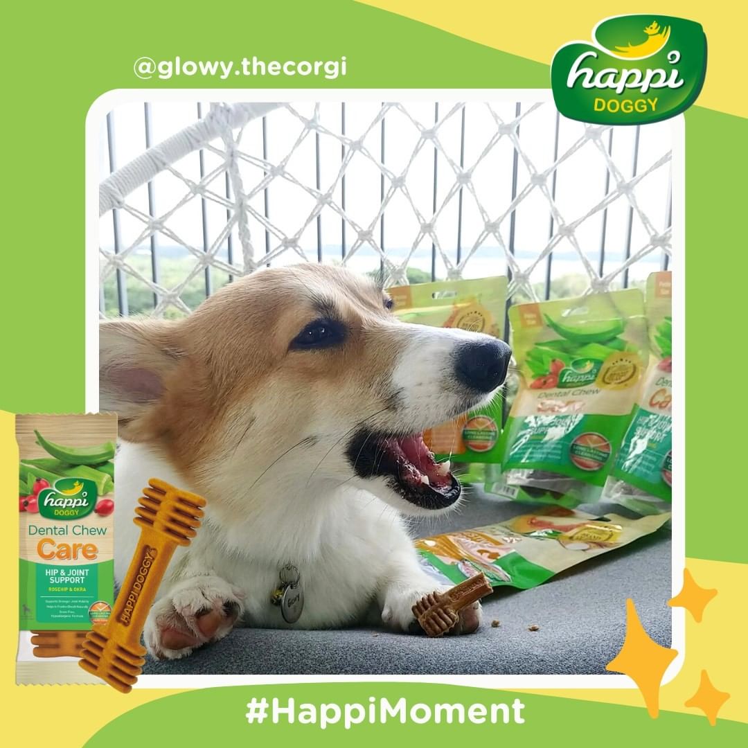 Happi Doggy Dental Chew Dog Treats - Pack of 2-7
