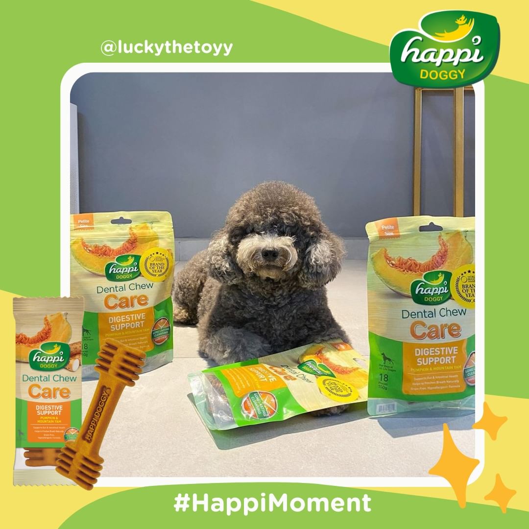 Happi Doggy Singles Combo (Pack of 6)-17