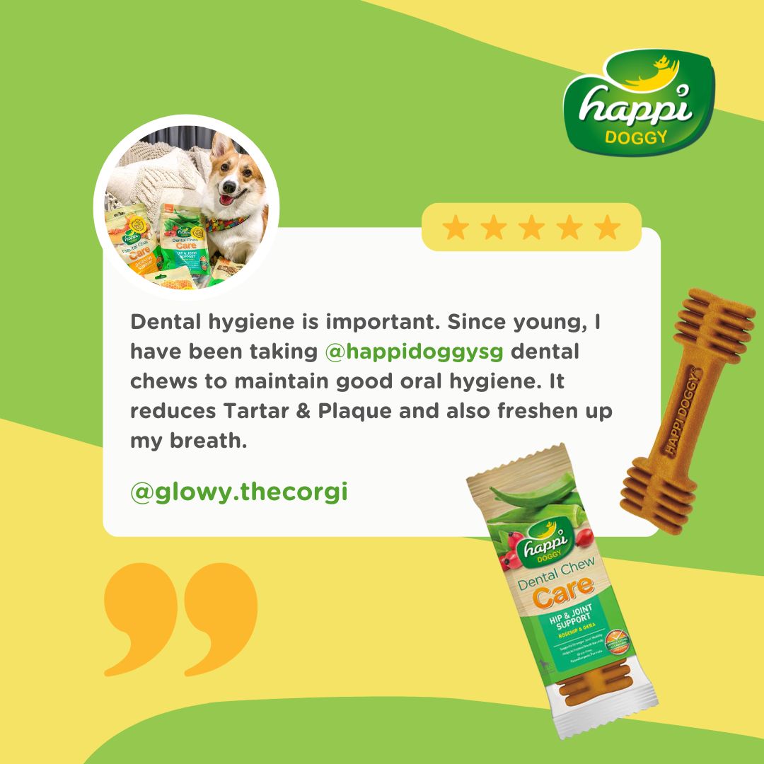 Happi Doggy Zest Dental Chew Dog Treats - Pack of 4-7