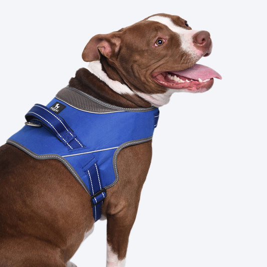 HUFT Easy On Dog Harness - Blue - Heads Up For Tails