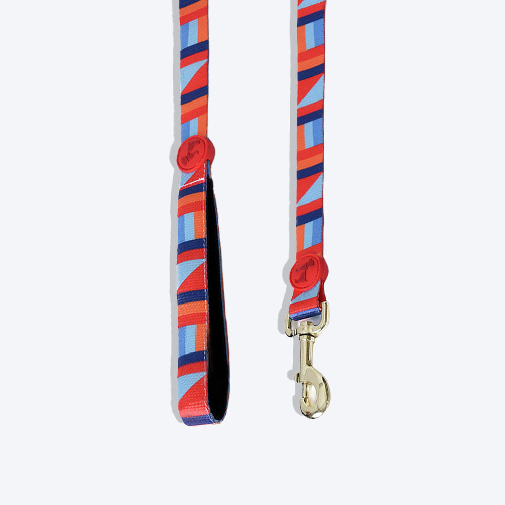 HUFT Fun N Frolic Dog Leash - Heads Up For Tails