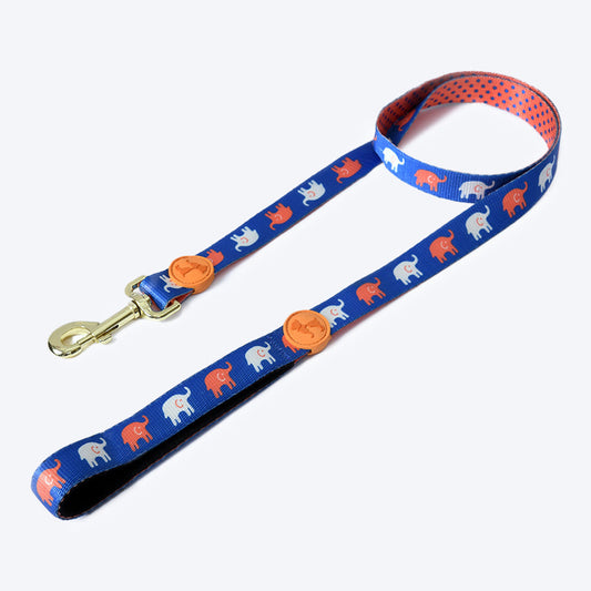HUFT Jumbo Parade Dog Leash - Multicolor - Heads Up For Tails