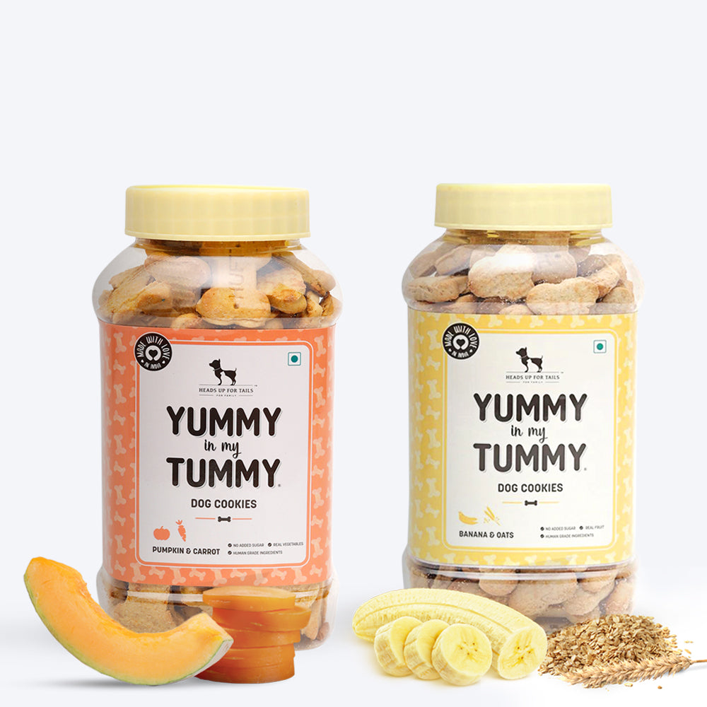 HUFT YIMT Dog Biscuits Combo - Banana & Oats and Pumpkin & Carrots - Pack of 2 - 320 g (Each) - Heads Up For Tails