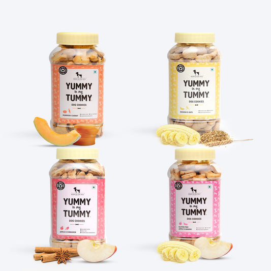 HUFT YIMT Dog Biscuits Combo - Vegetarian - Pack of 4 (320 g Each) - Heads Up For Tails
