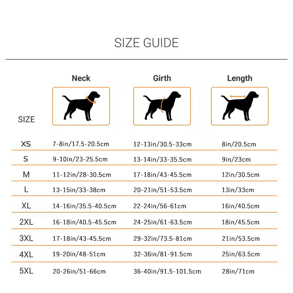 HUFT Blue Raincoat for Dogs2
