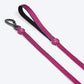 HUFT Nylon Dog Collar and Leash -Purple - (Set of 2) - Heads Up For Tails