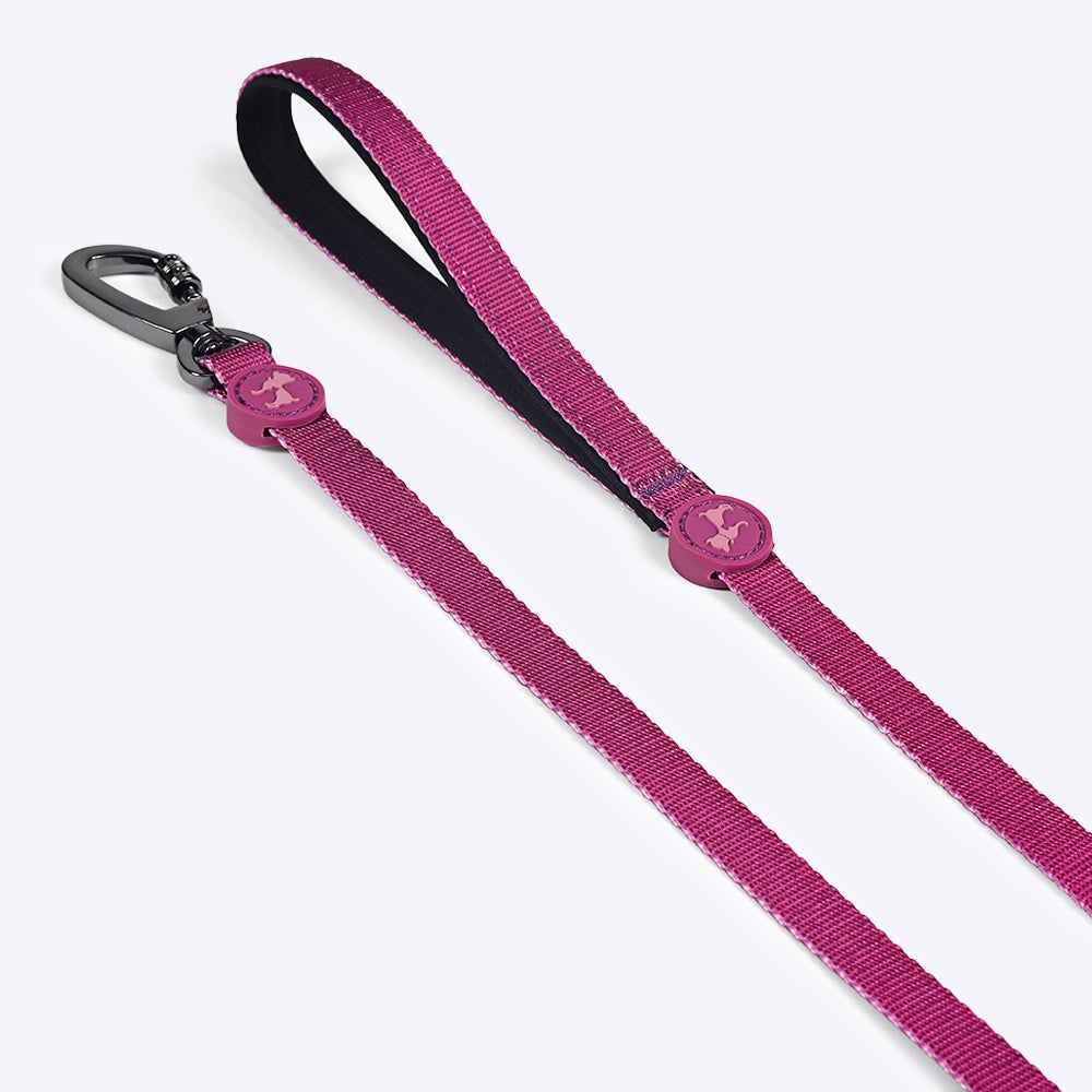 HUFT Nylon Dog Collar and Leash -Purple - (Set of 2) - Heads Up For Tails