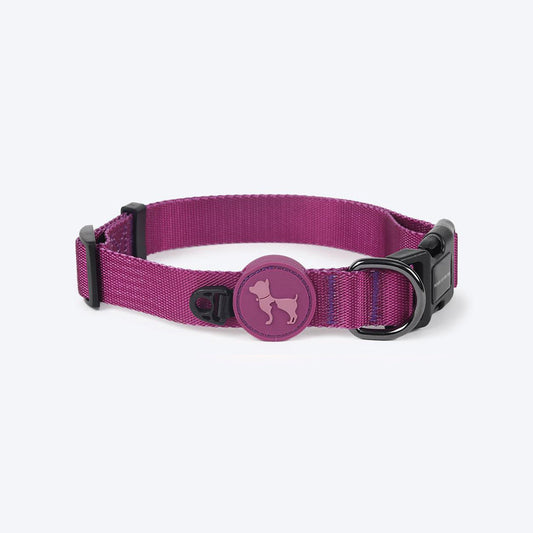 HUFT Classic Nylon Puppy Collar - Purple - Heads Up For Tails