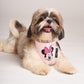 HUFT XÂ©Disney Minnie Dog Bandana - Heads Up For Tails
