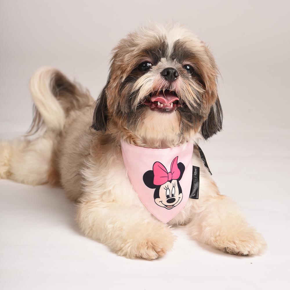HUFT XÂ©Disney Minnie Dog Bandana - Heads Up For Tails